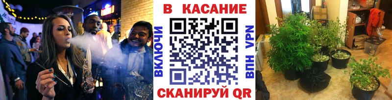 Наркотические вещества Пыталово Псилоцибиновые грибы Меф Бутират OMG рабочий сайт ГАШИШ КОКАИН