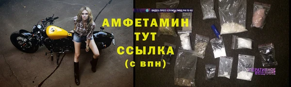 винт Алзамай