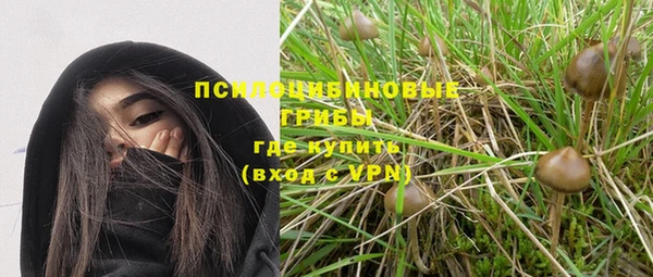 тгк Алексин
