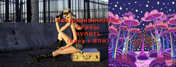 винт Алзамай
