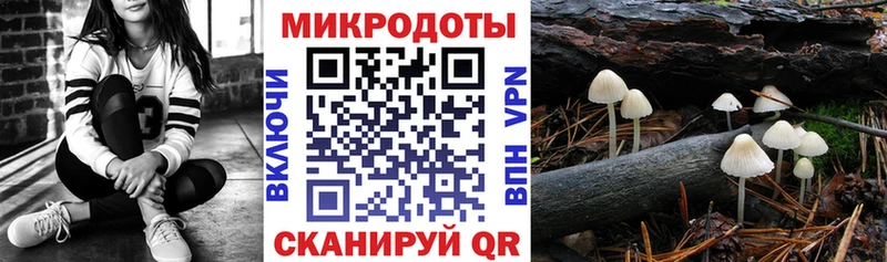 Псилоцибиновые грибы Psilocybine cubensis  Пыталово 