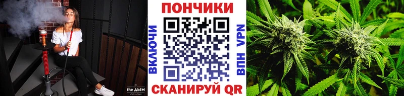 МАРИХУАНА конопля Пыталово